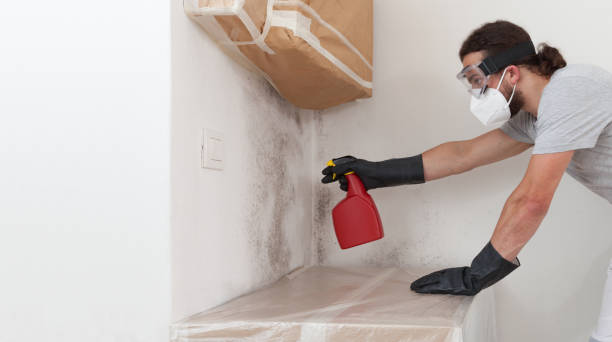 Professional Crawl Space Mold Remediation technician working in Allentown, NJ