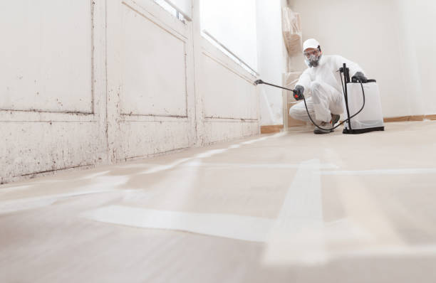 24/7 Emergency Crawl Space Mold Remediation experts in Allentown, NJ