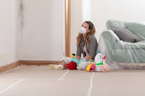 Reliable Crawl Space Mold Remediation contractor in Allentown, NJ by Car Mold Remediation