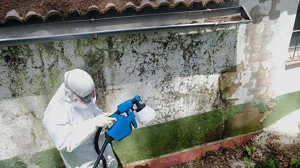 Top rated local Crawl Space Mold Remediation specialists in Allentown, NJ